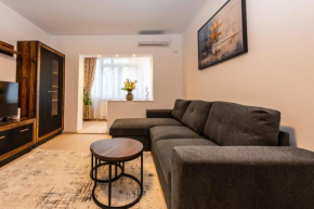 Ray- central apartment near Palas Mall